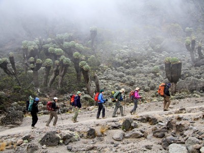 Kilimanjaro