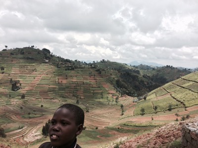 rwanda campagne en terrasse